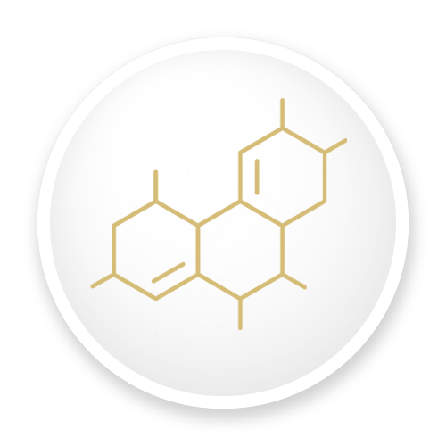 Med-Spa-Bethesda-MD-IV-Hormone-Treatment-Icon.webp